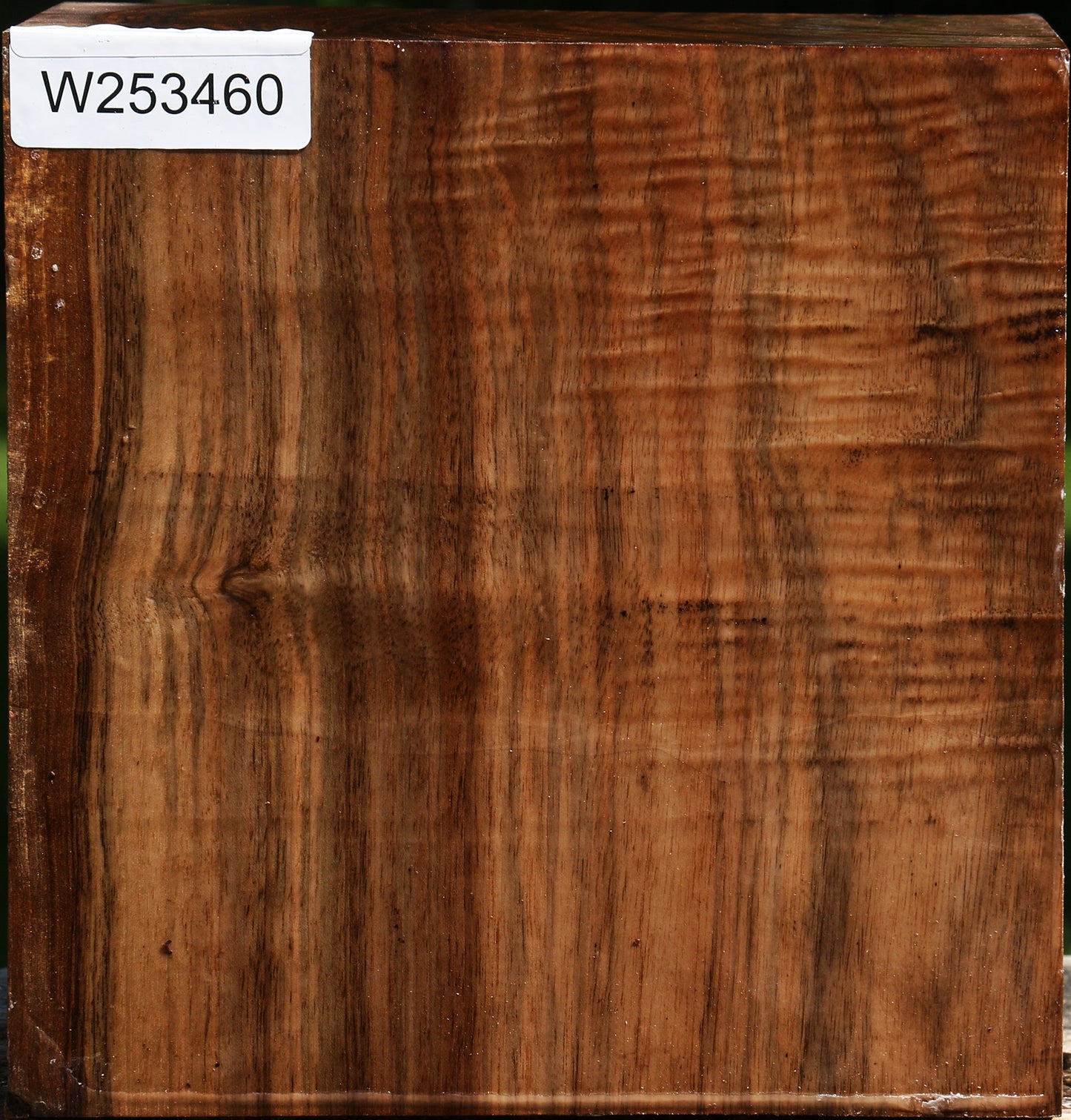 Extra Fancy English Walnut Bowl Blank