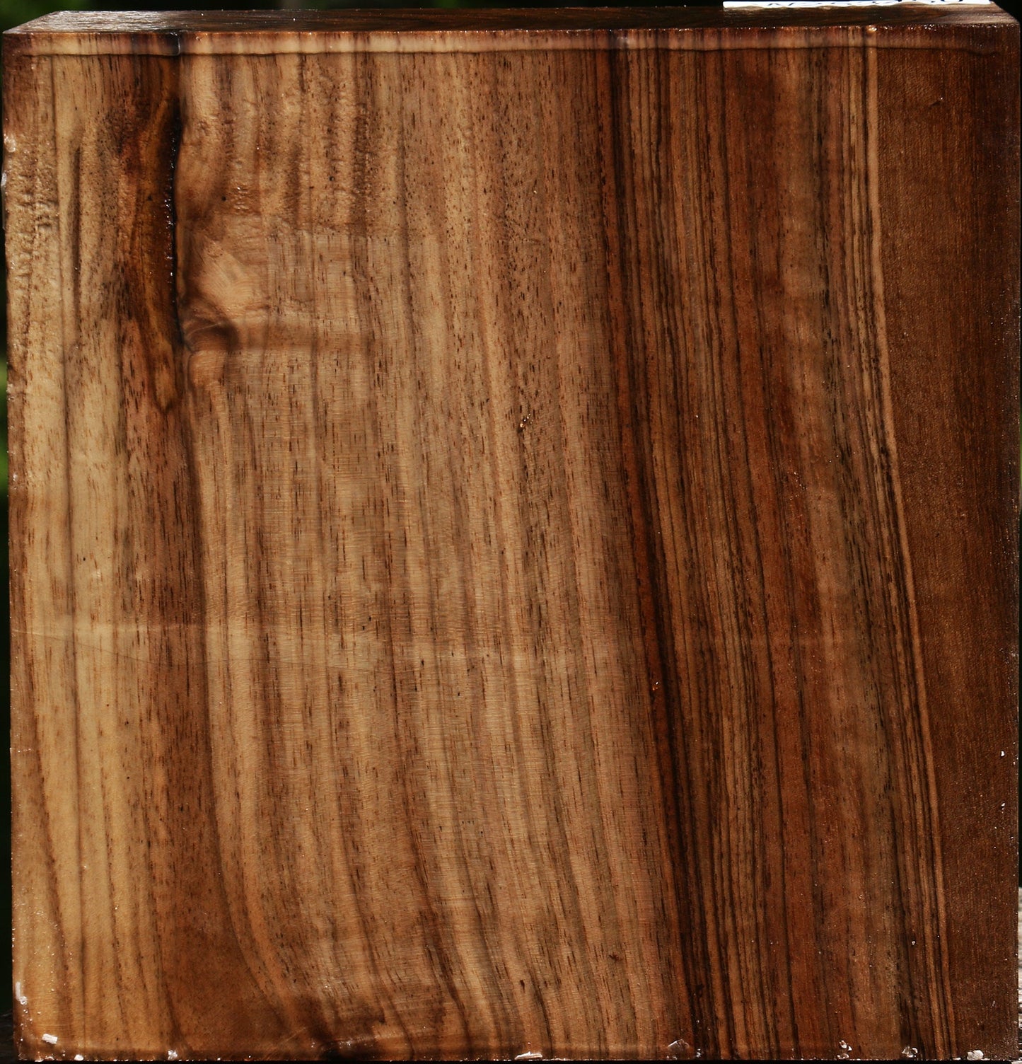 Extra Fancy English Walnut Bowl Blank
