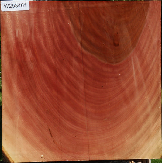 Sycamore Platter Blank
