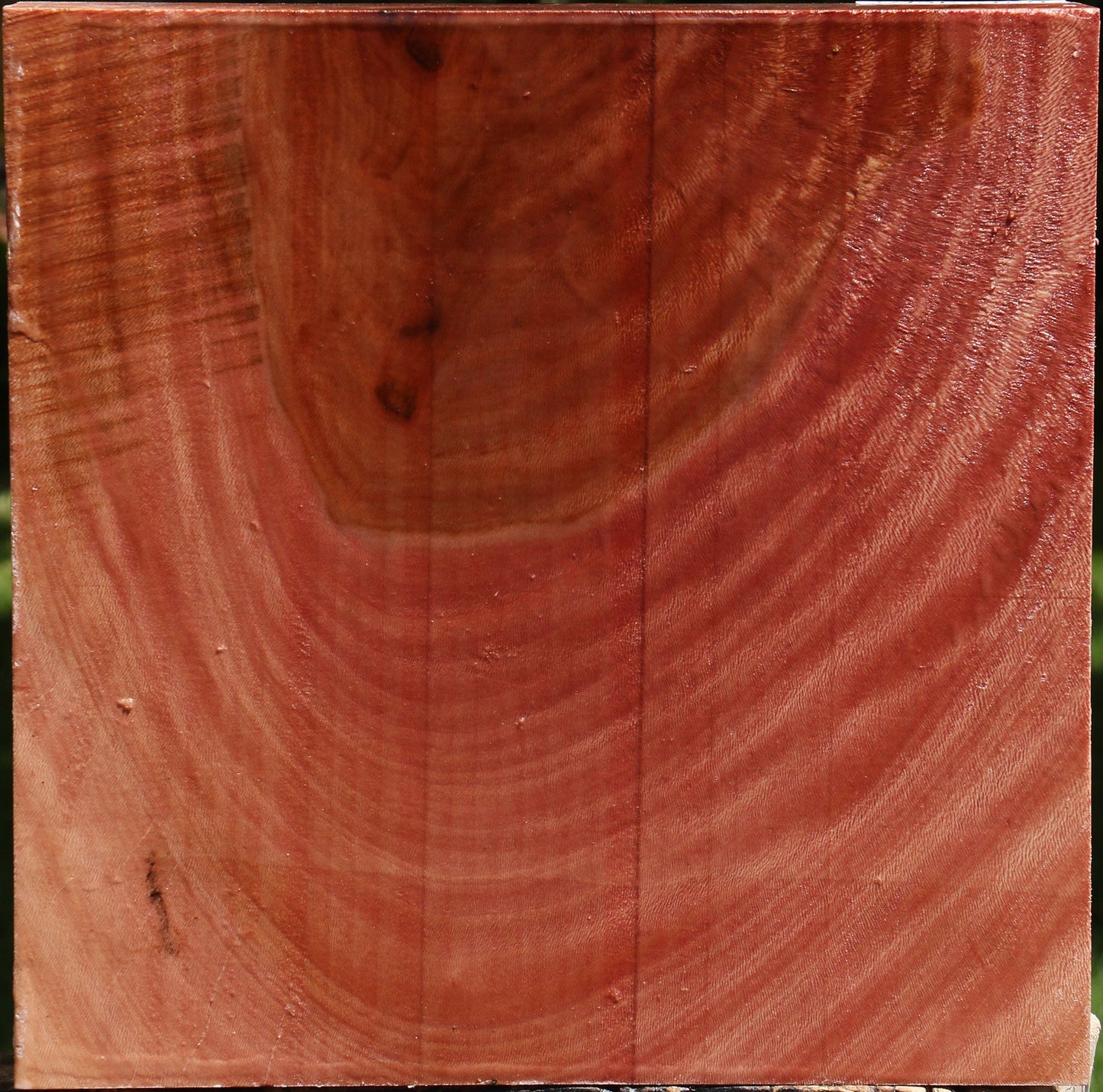 Sycamore Bowl Blank