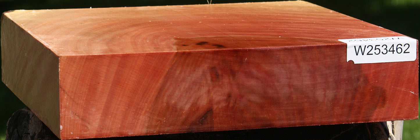 Sycamore Bowl Blank
