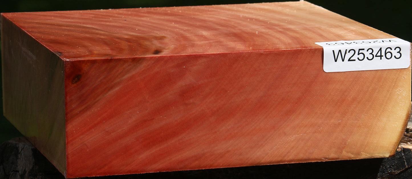 Sycamore Bowl Blank