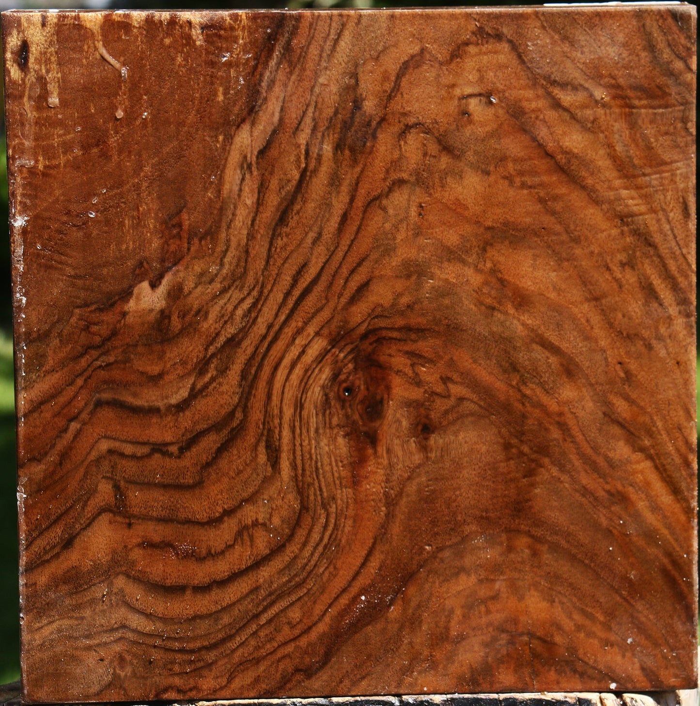 Extra Fancy English Walnut Bowl Blank