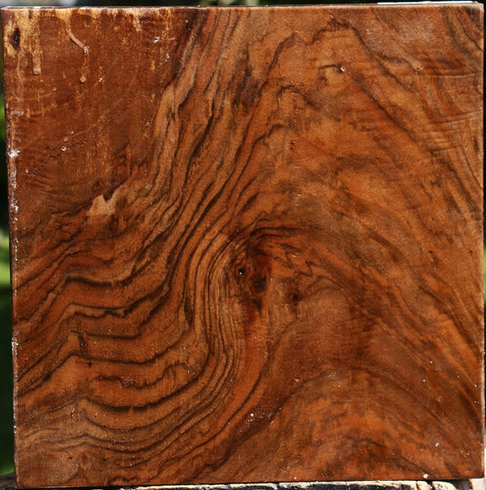 Extra Fancy English Walnut Bowl Blank