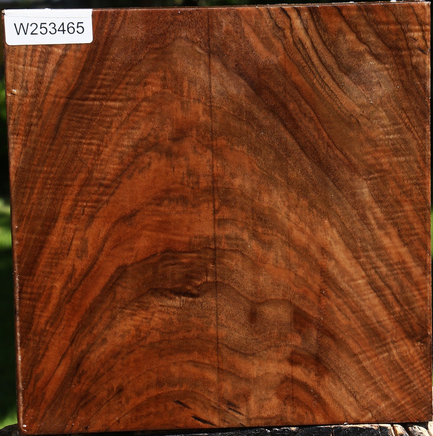 Extra Fancy English Walnut Bowl Blank