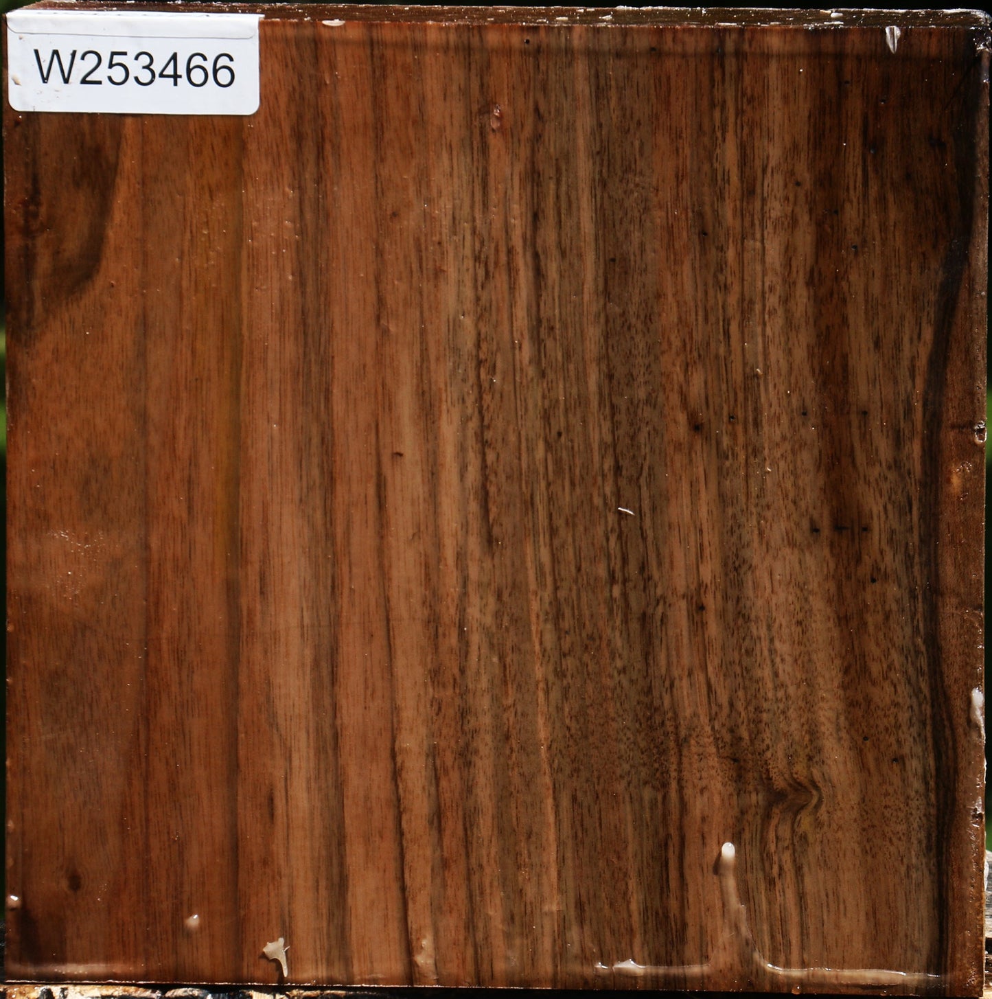 English Walnut Bowl Blank