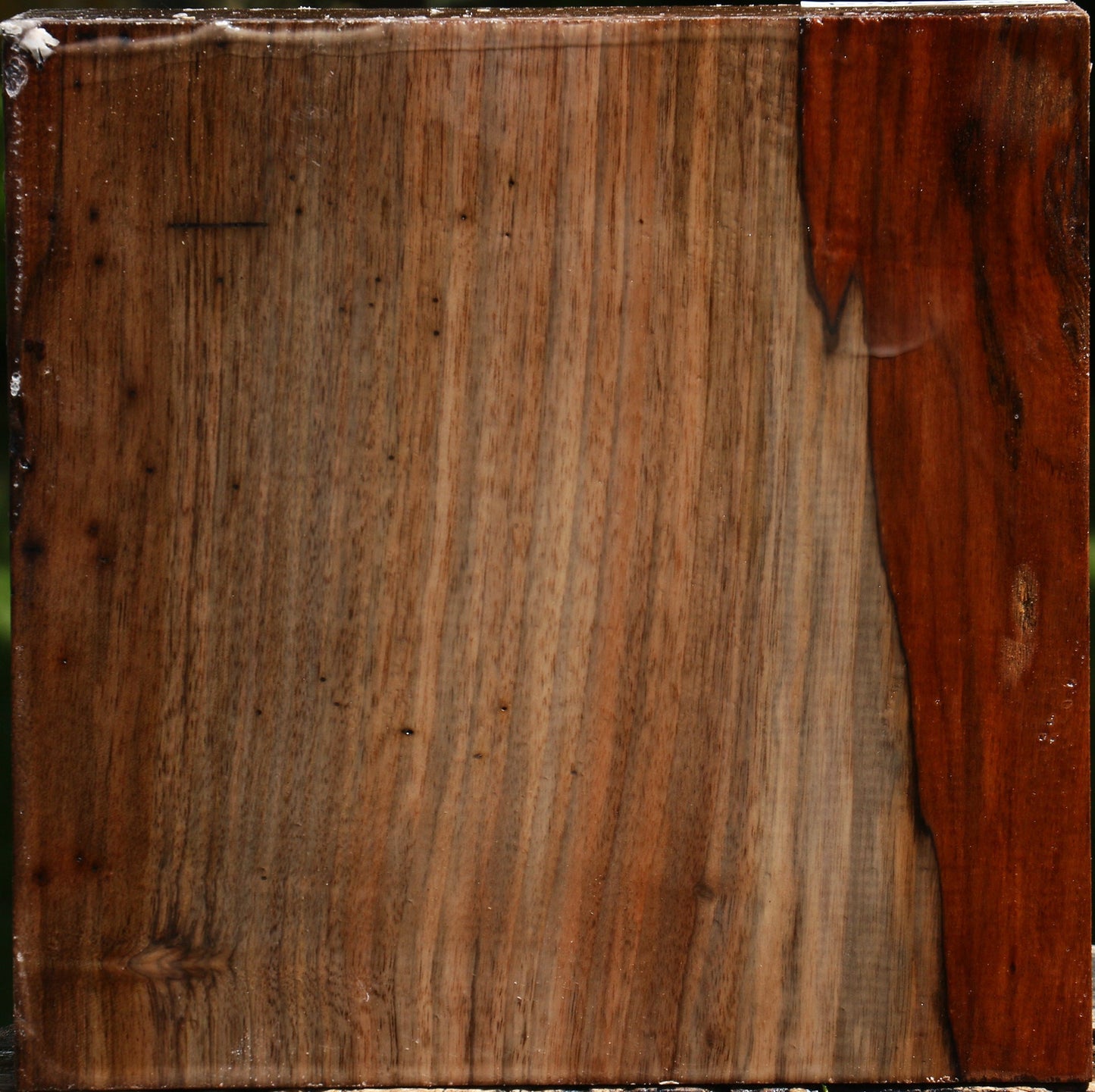 English Walnut Bowl Blank