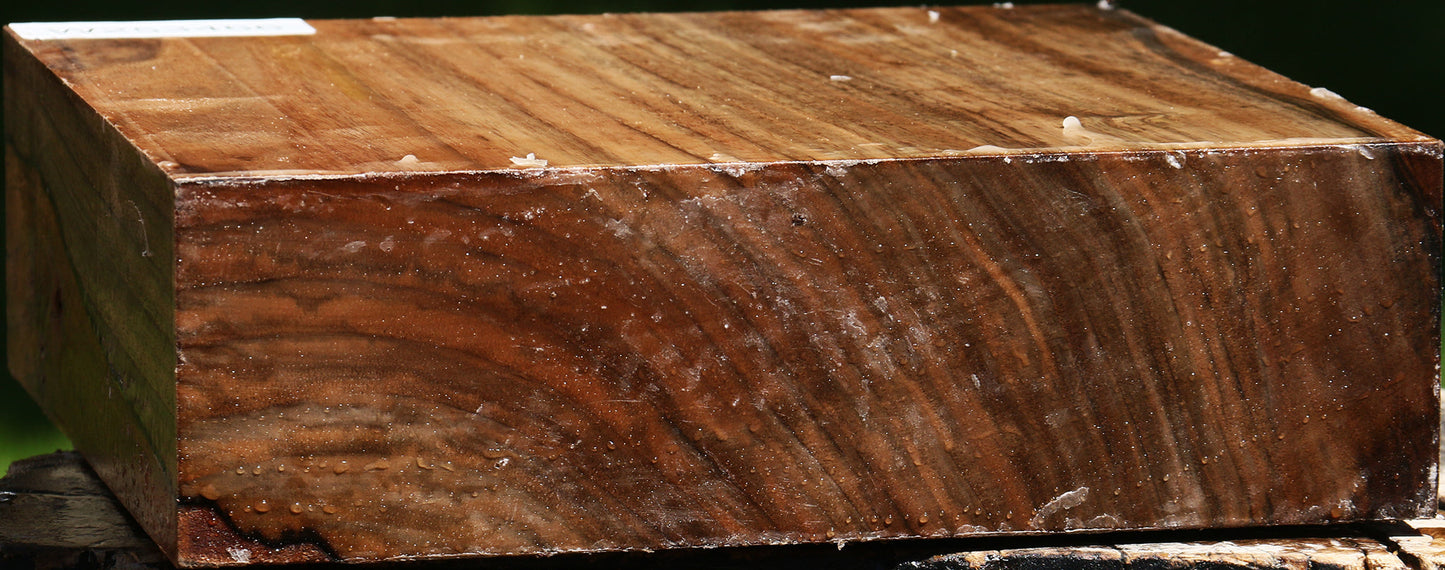 English Walnut Bowl Blank