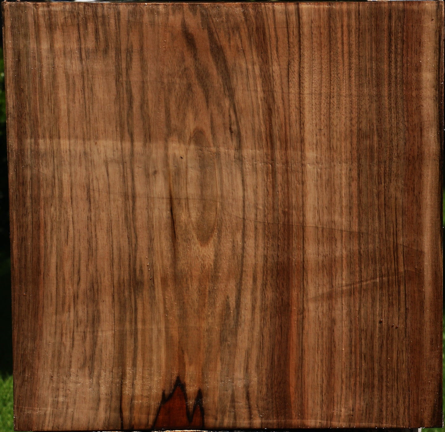 English Walnut Bowl Blank