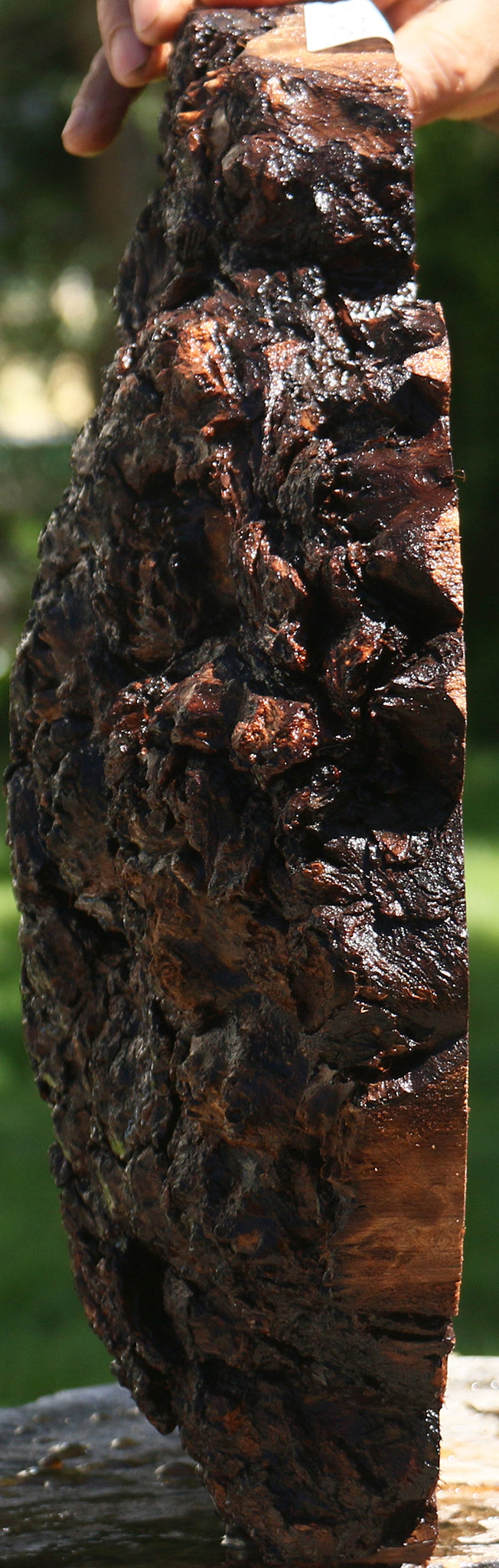 Claro Walnut Burl Cap