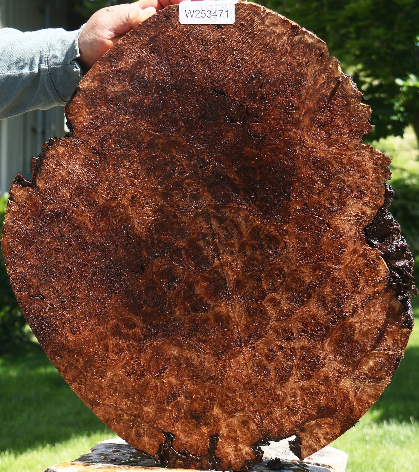 Claro Walnut Burl Cap