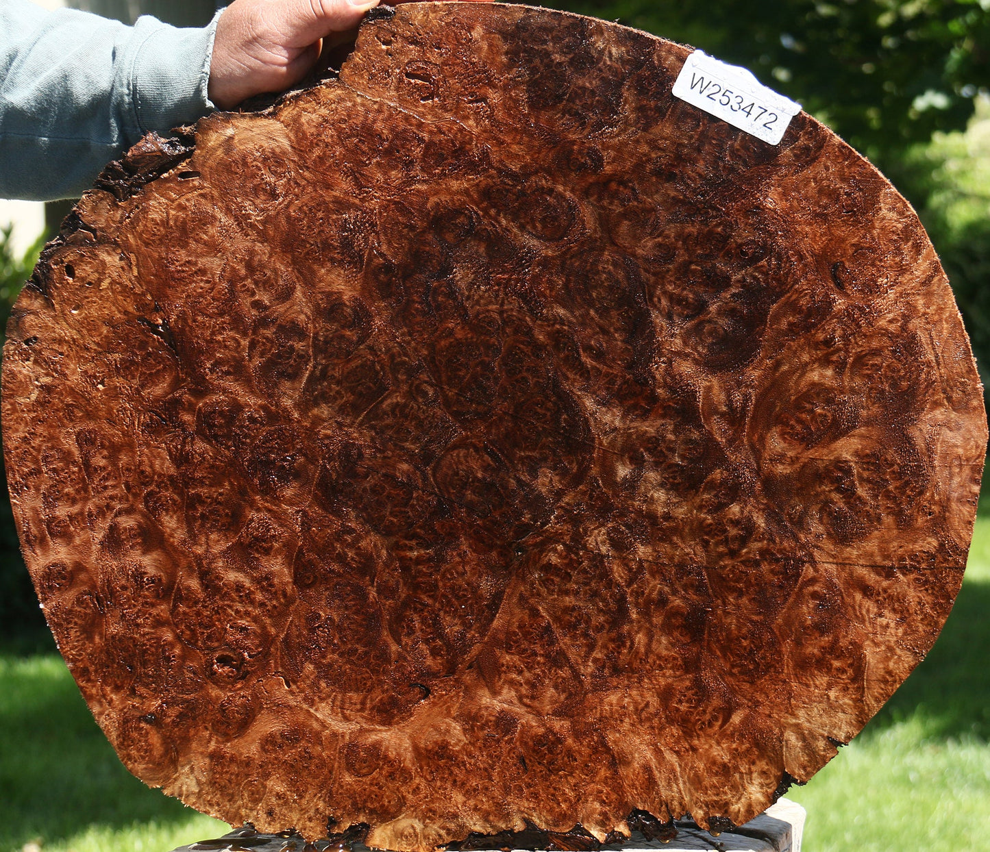 Claro Walnut Burl Cap