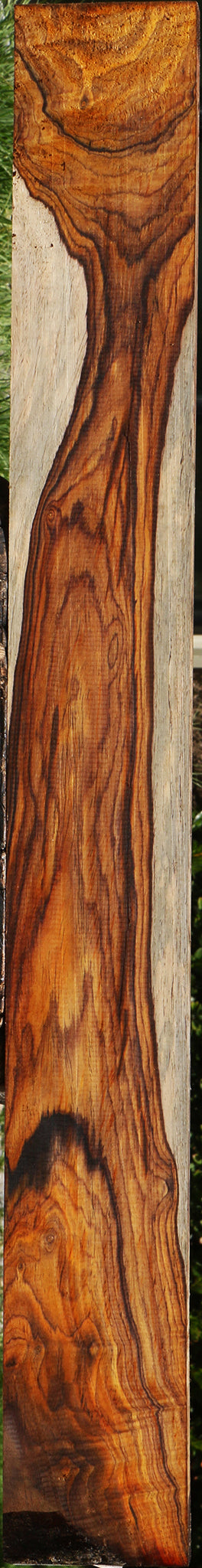 Extra Fancy Cocobolo Lumber