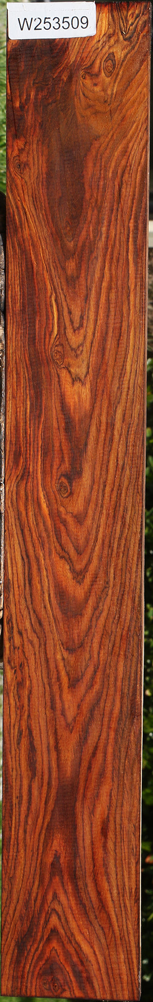 Cocobolo Lumber