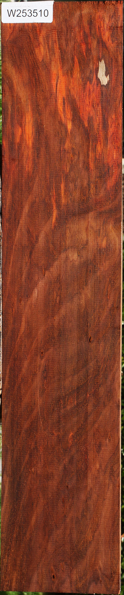 Extra Fancy Cocobolo Lumber