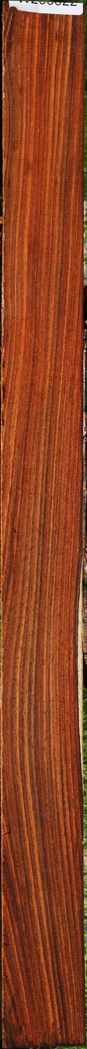 Quartersawn Cocobolo Micro Lumber
