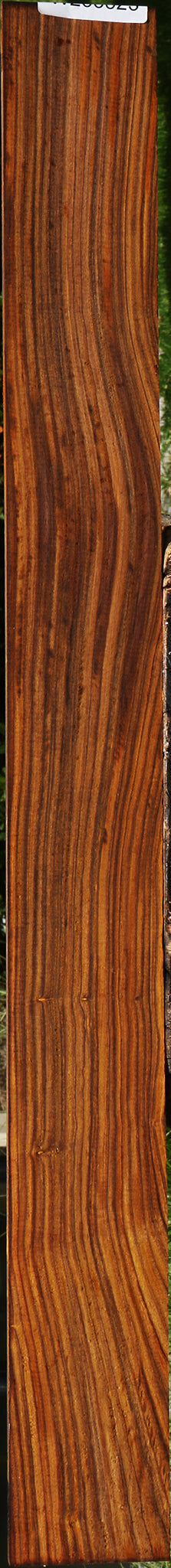 Cocobolo Micro Lumber
