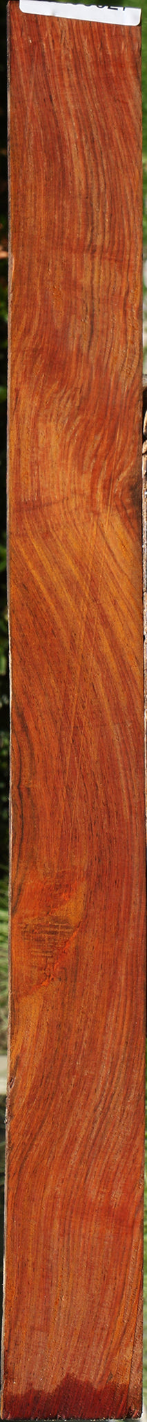 Cocobolo Micro Lumber
