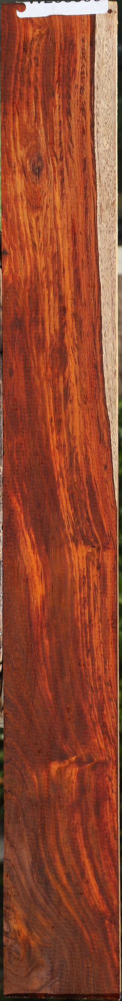 Cocobolo Micro Lumber