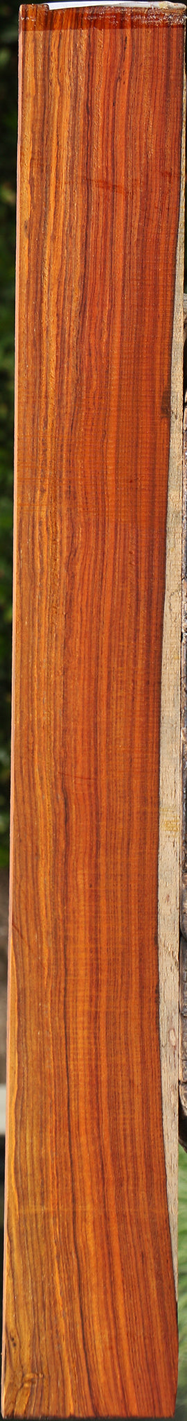 Quartersawn Cocobolo Micro Lumber
