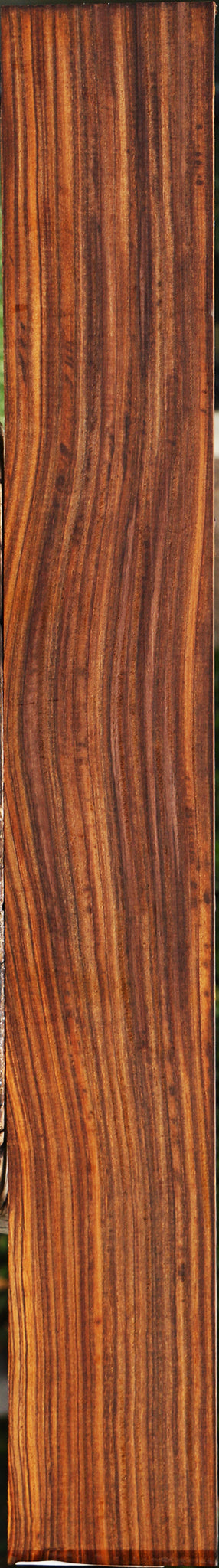 Cocobolo Micro Lumber