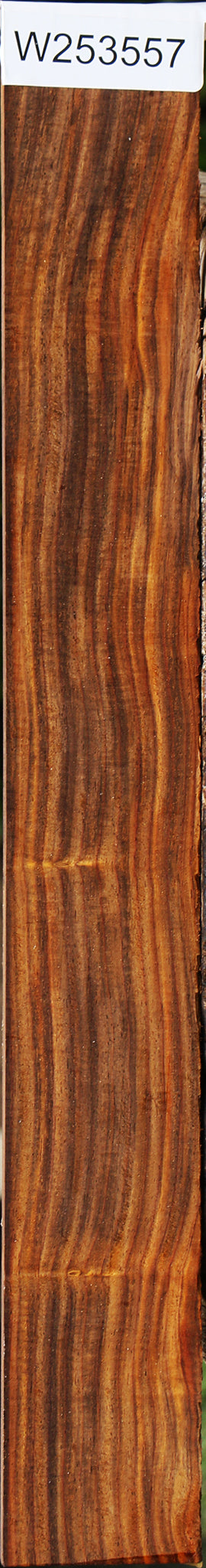 Cocobolo Micro Lumber