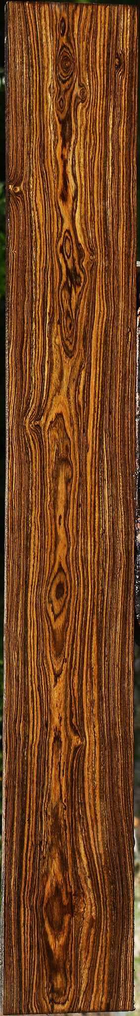 Bocote Lumber