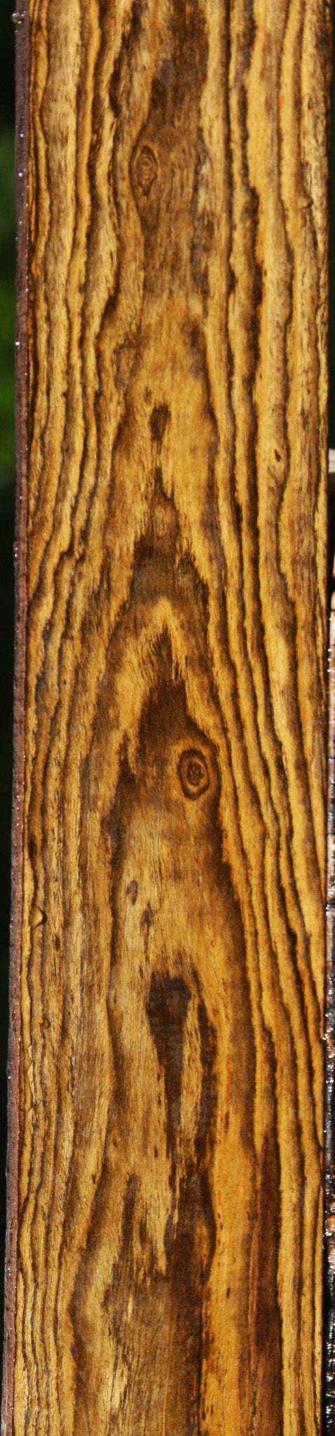 Bocote Lumber