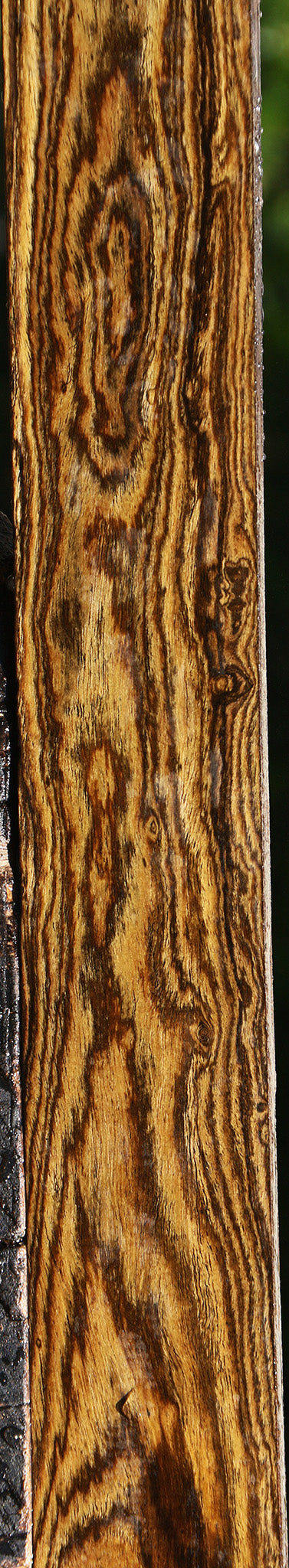 Bocote Lumber