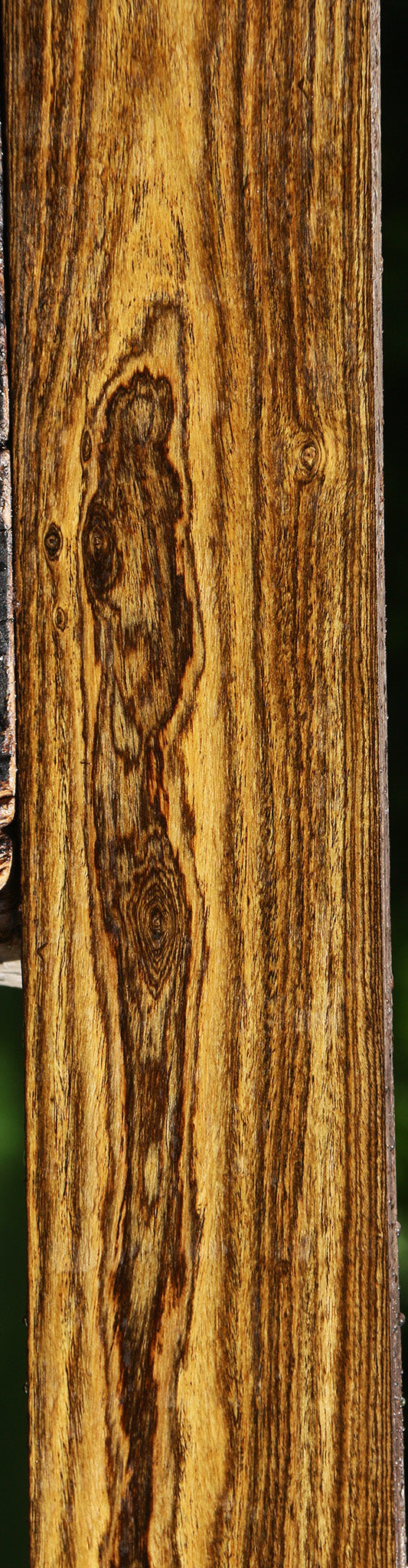 Bocote Lumber