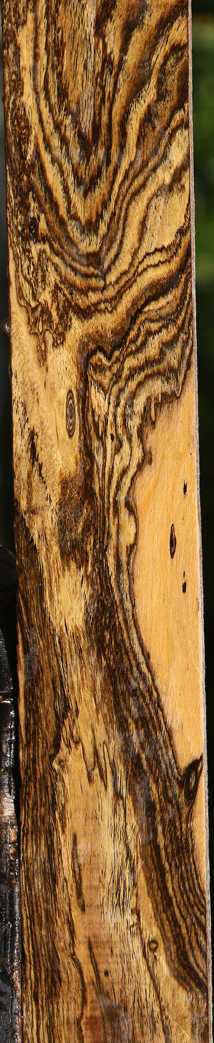 Bocote Lumber
