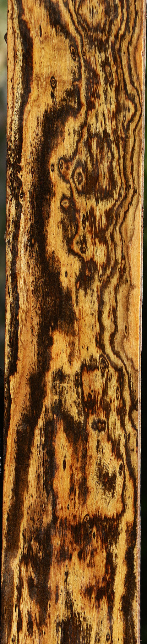 Extra Fancy Bocote Lumber