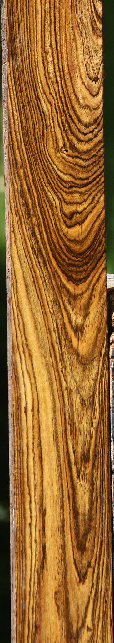 Bocote Lumber
