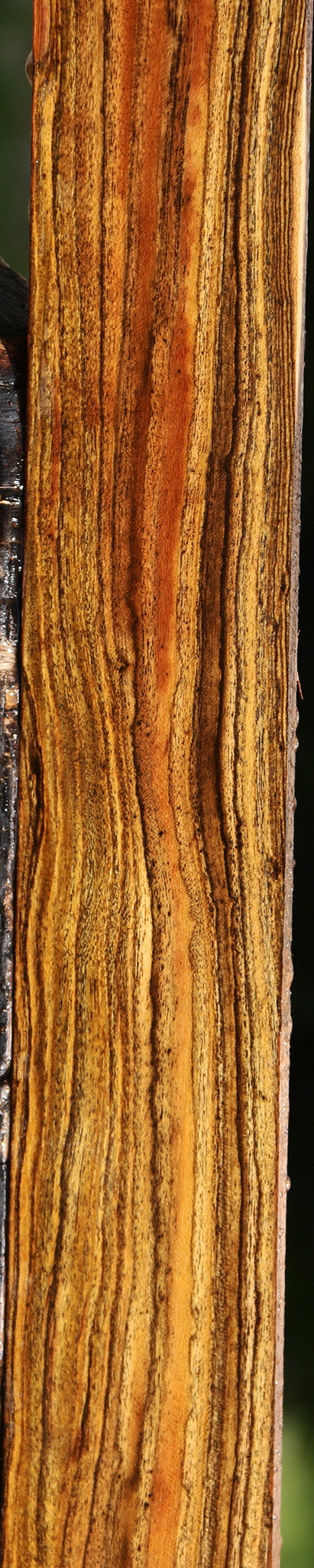 Bocote Lumber