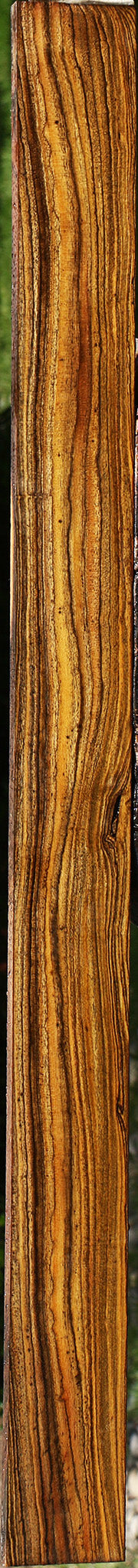 Bocote Lumber