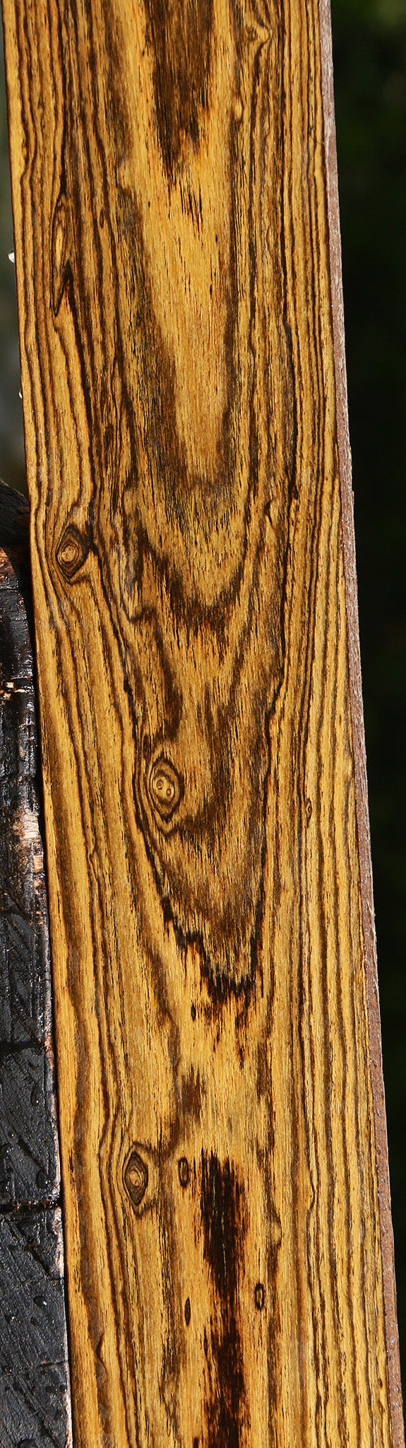 Bocote Lumber