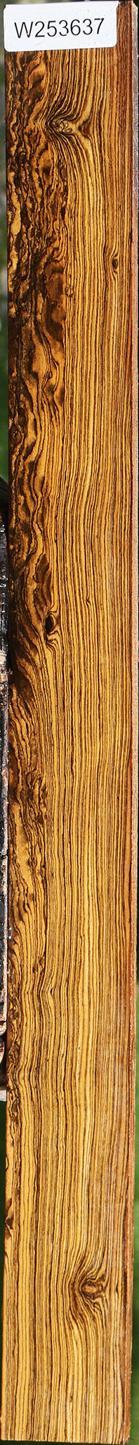 Bocote Lumber