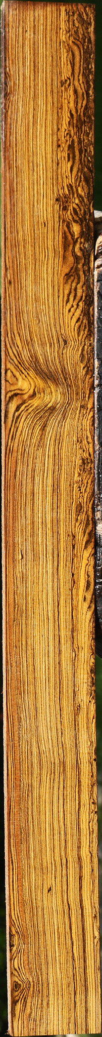 Bocote Lumber