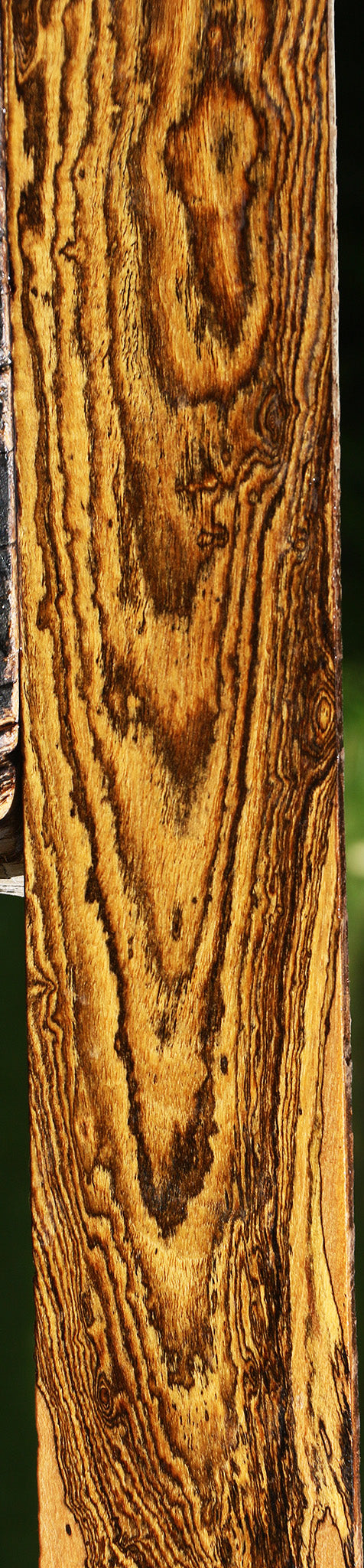 Figured Bocote Lumber