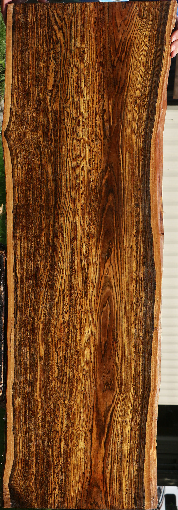 Figured Bocote Live Edge Lumber
