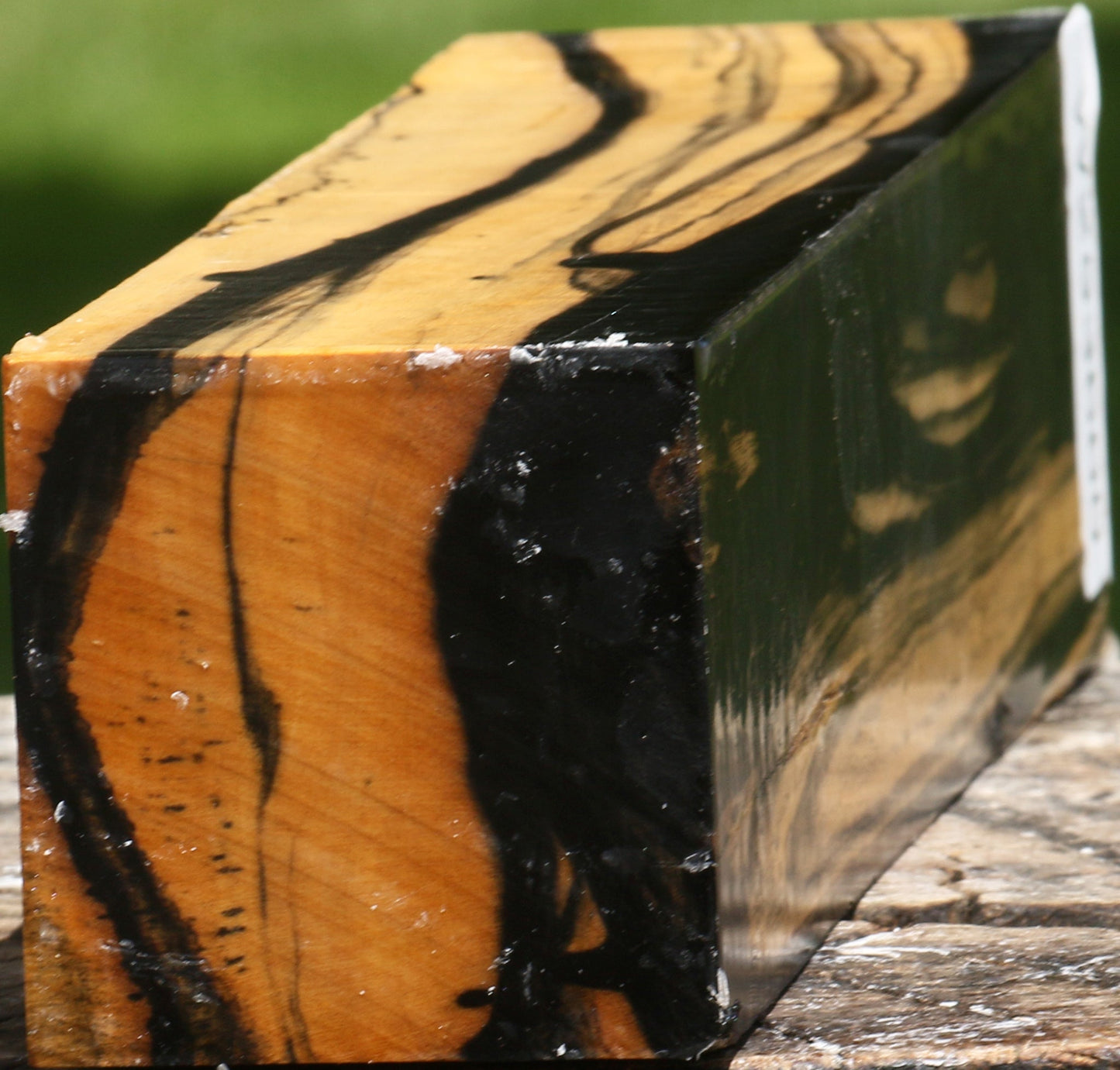 Extra Fancy Black & White Ebony Peppermill