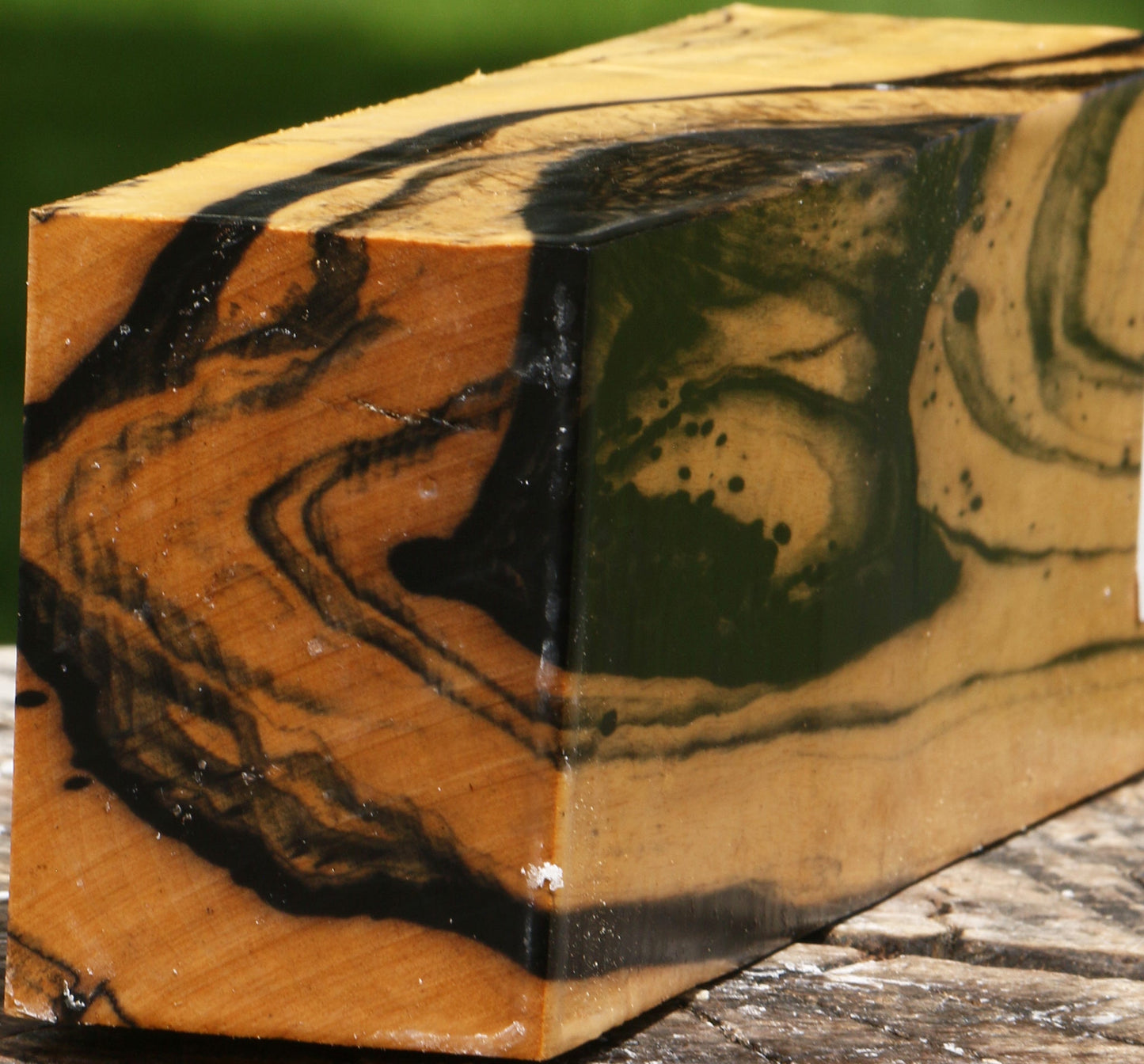 Extra Fancy Black & White Ebony Turning Blank