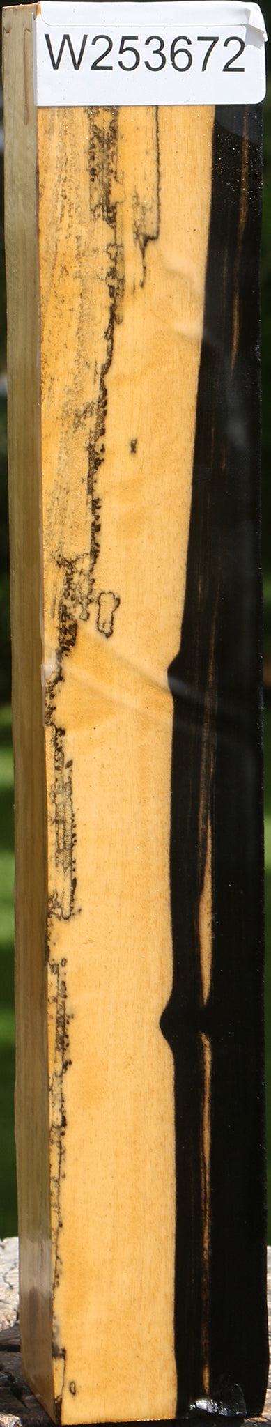 Black & White Ebony Turning Square
