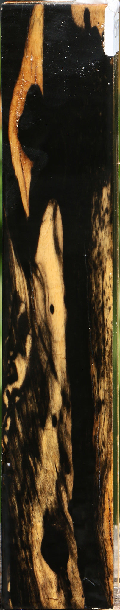 Extra Fancy Black & White Ebony Turning Square
