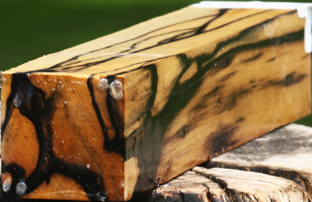 Extra Fancy Black & White Ebony Turning Square