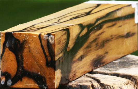 Extra Fancy Black & White Ebony Turning Square