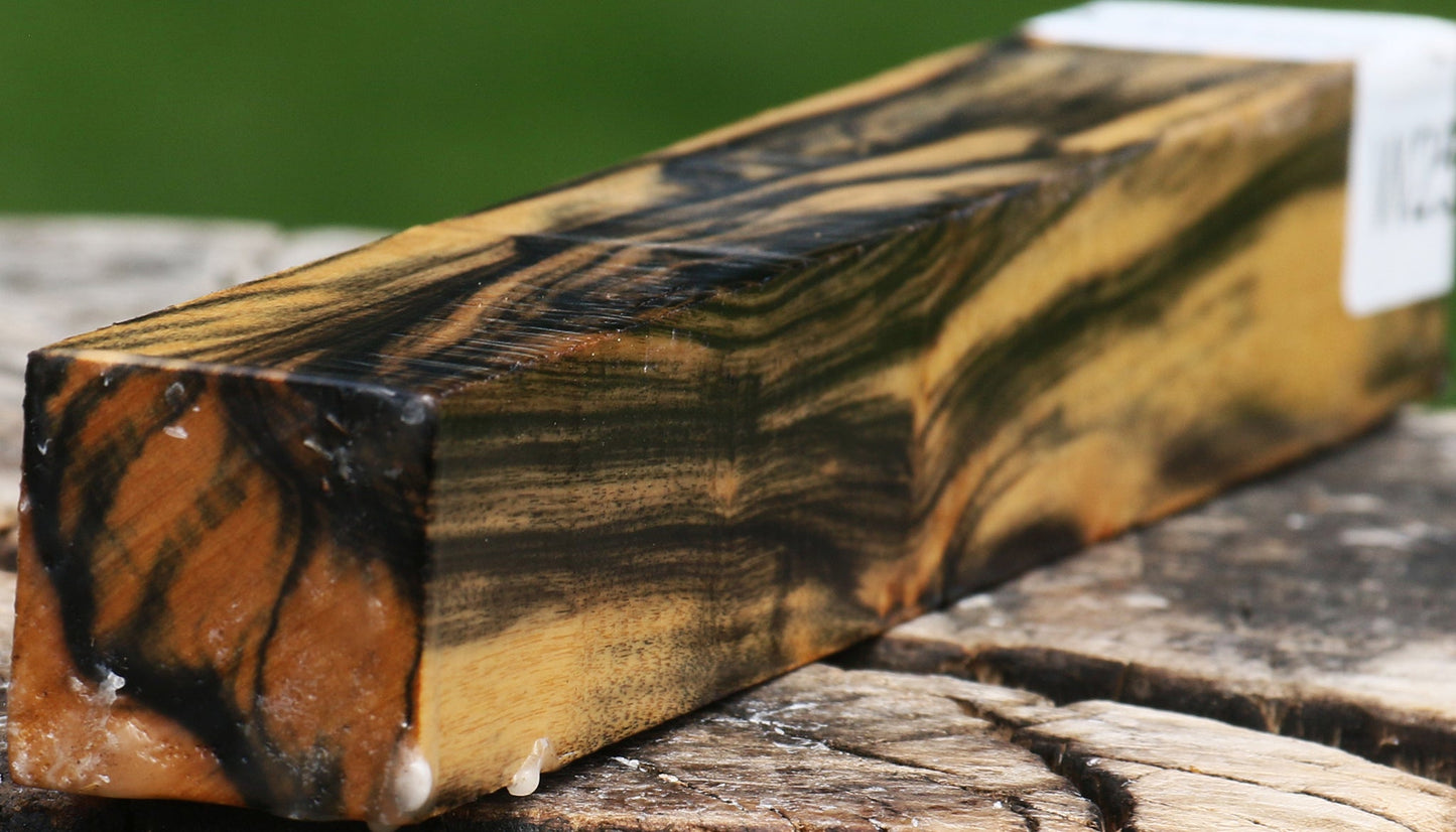 Extra Fancy Black & White Ebony Turning Square