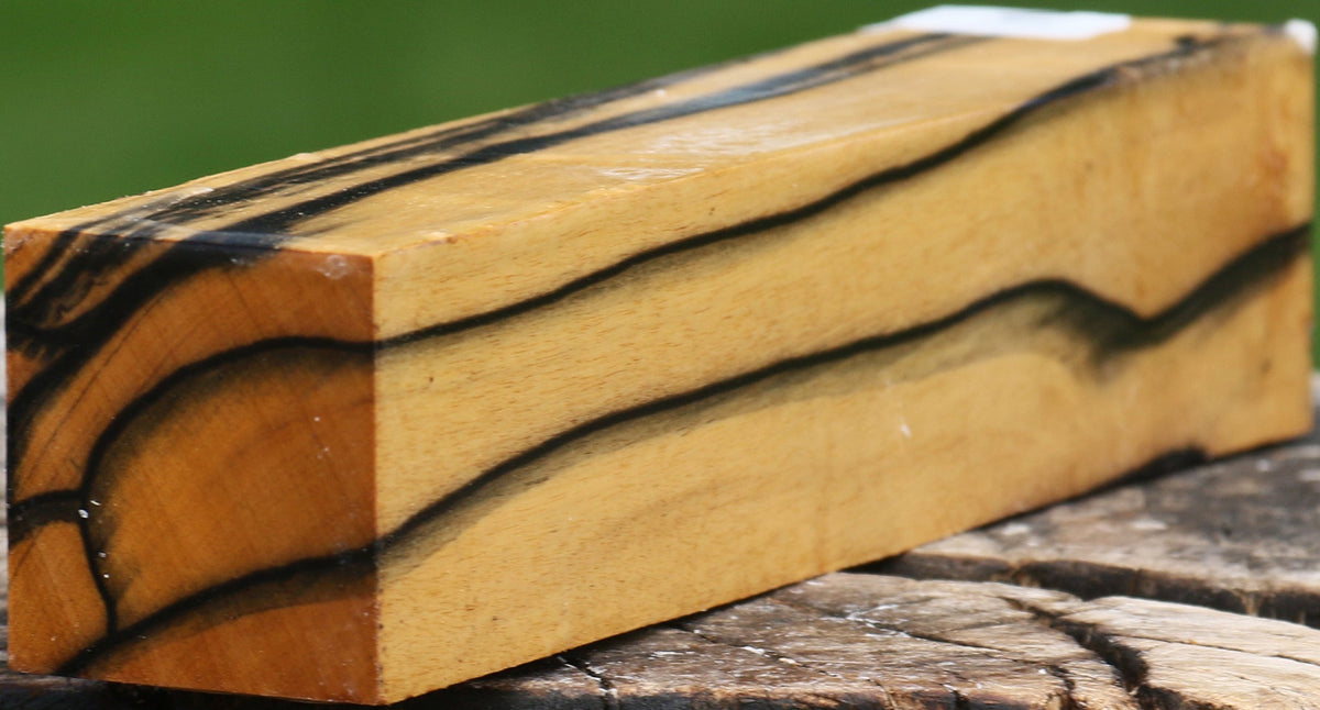 Extra Fancy Black & White Ebony Turning Square