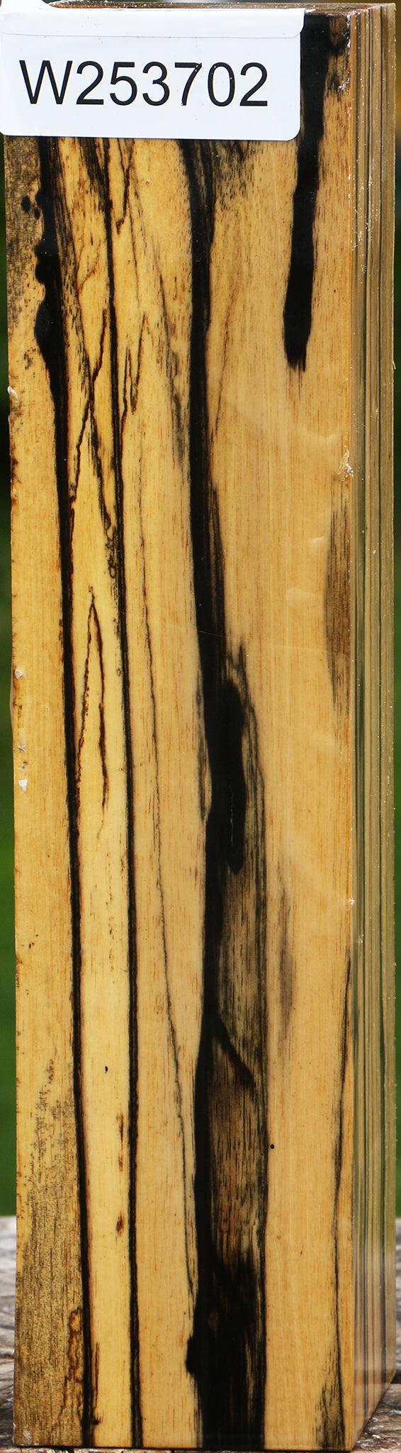 Black & White Ebony Peppermill