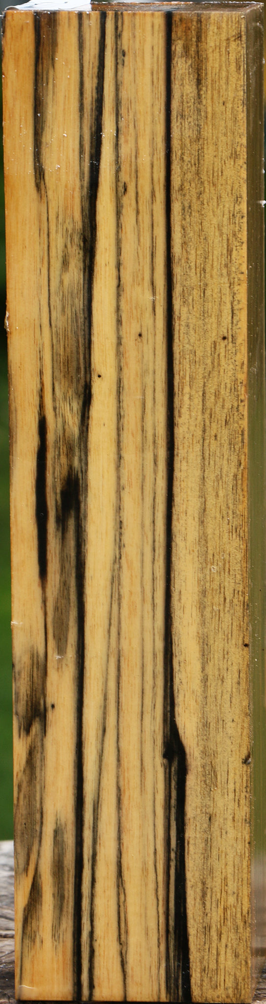 Black & White Ebony Peppermill